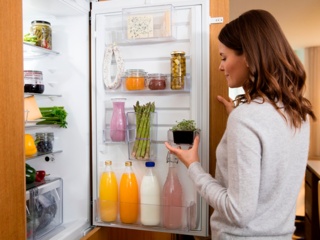 Холодильник пищит при закрытой дверце: возможные причины